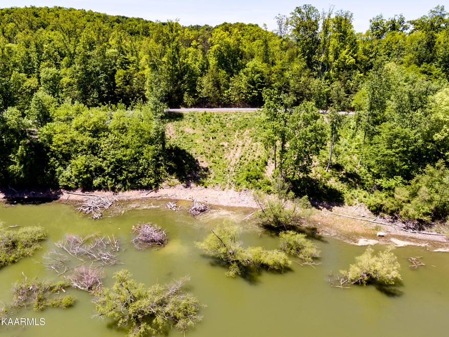 Lot 12 - Lakefront on Douglas Lake