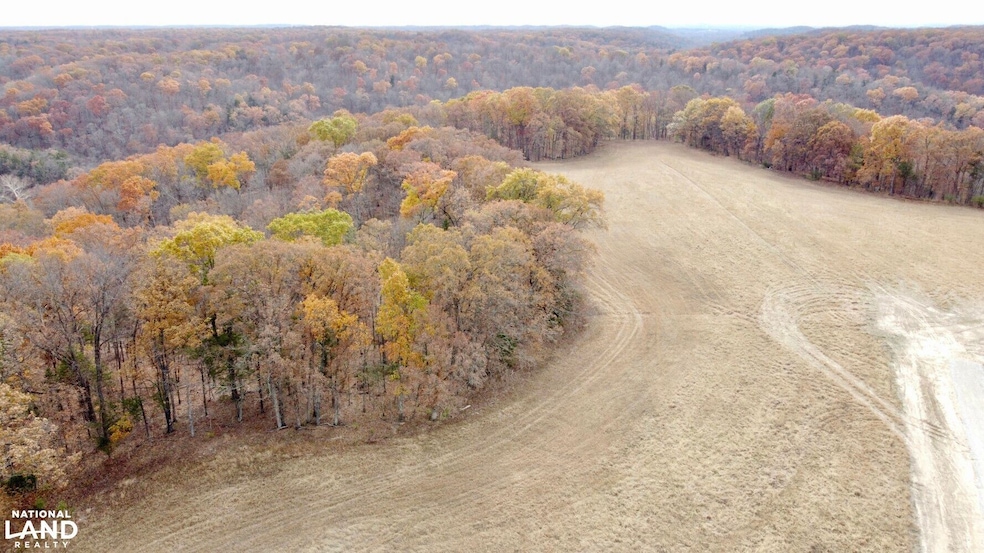 0000 Polston Ln, Hickory Grove Township, MO 63357 - photo 1