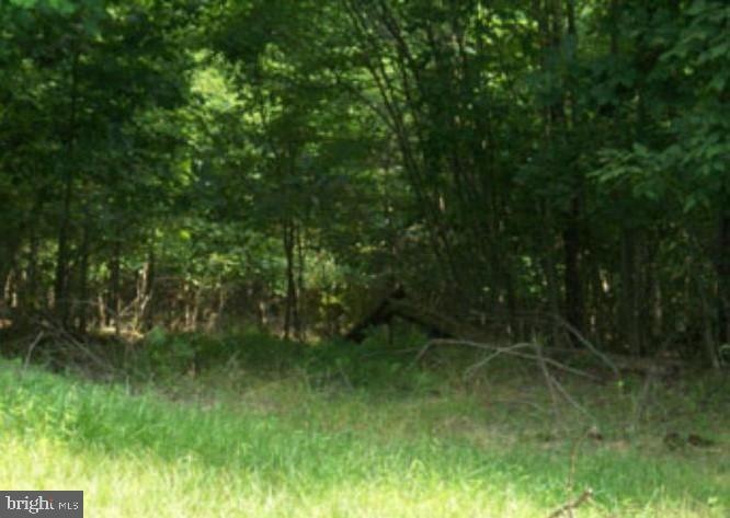 0 Posey Hollow unit WVMO116494, Berkeley Springs, WV 25411 - photo 1