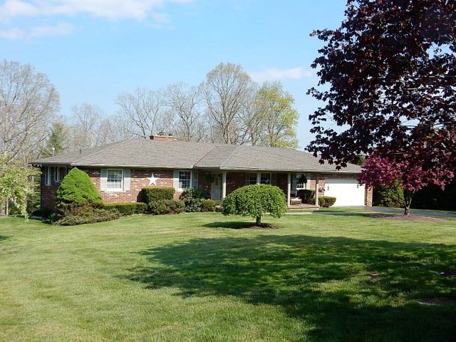 Main View