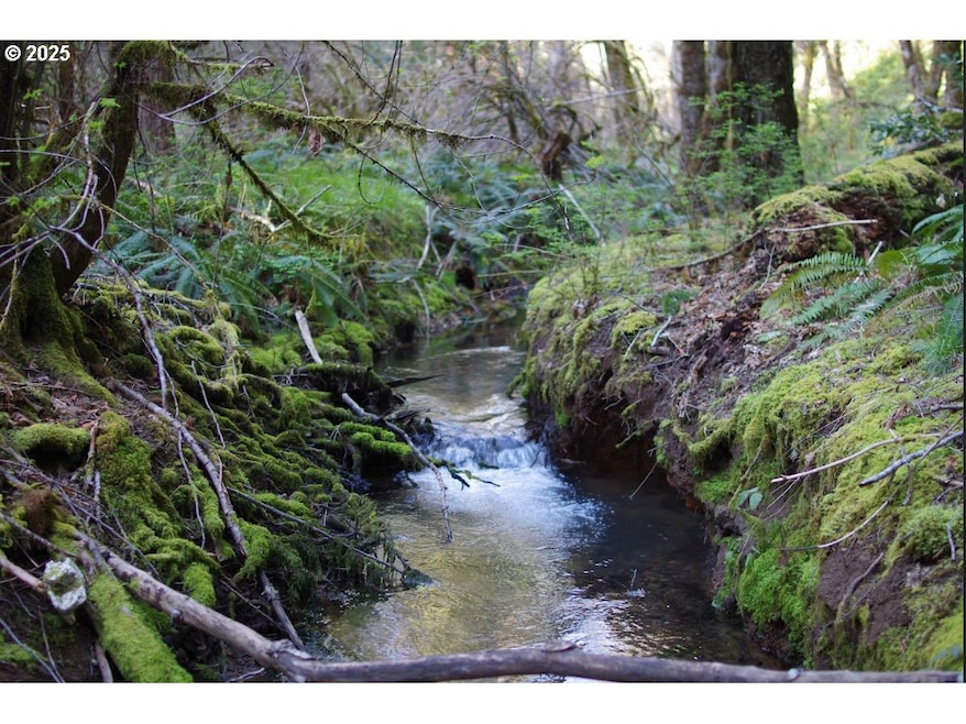 0 Davis Creek Rd, Selma, OR 97538 - photo 1