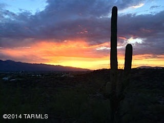 IMG_7769