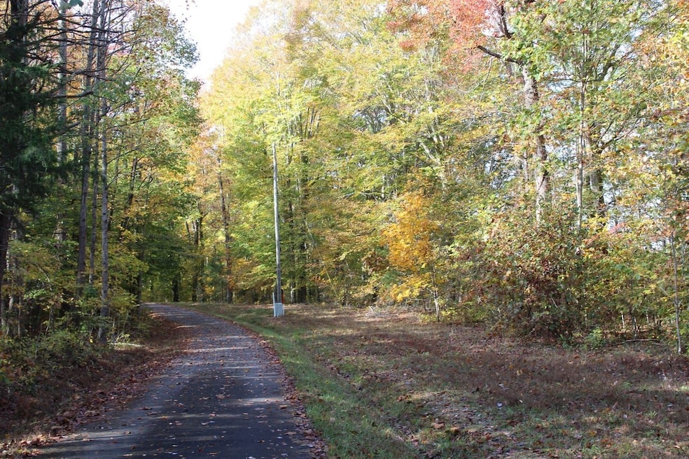 Gosser Ridge Spur, Russell Springs, KY 42642 - photo 1