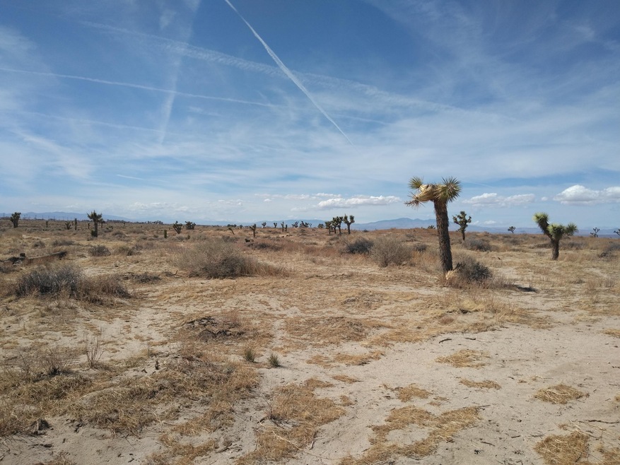 0 Vic Ave D12 & 107th St E unit 21002410, Lancaster, CA 93535 - photo 1