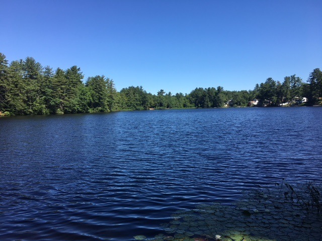 97 Sebbins Pond Dr, Bedford, NH 03110 - photo 1