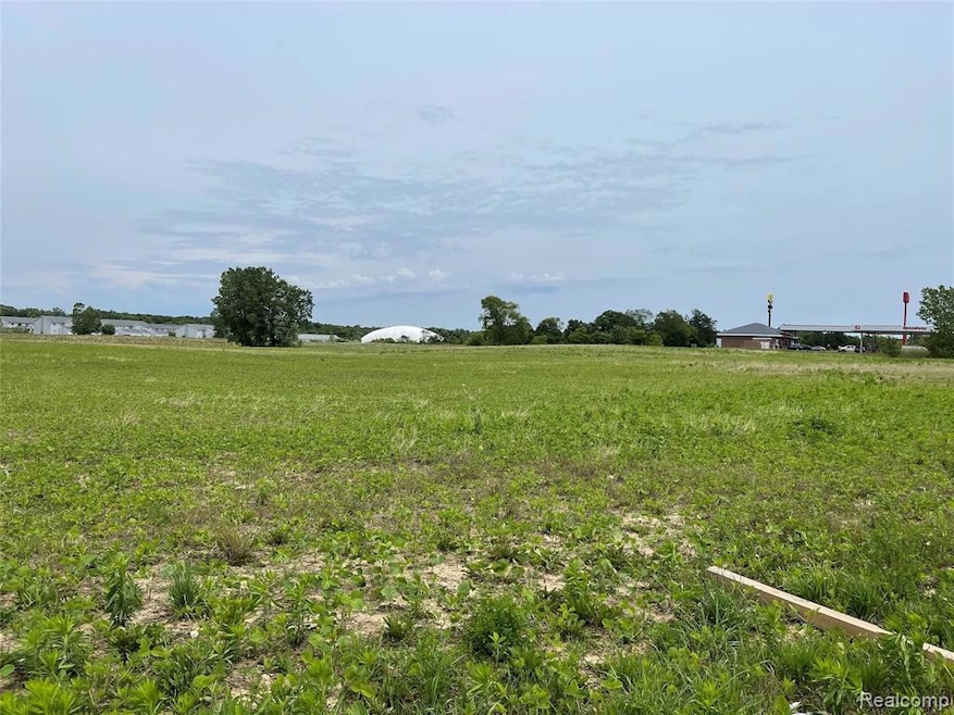 0000 Torrey Rd, Swartz Creek, MI 48473 - photo 1