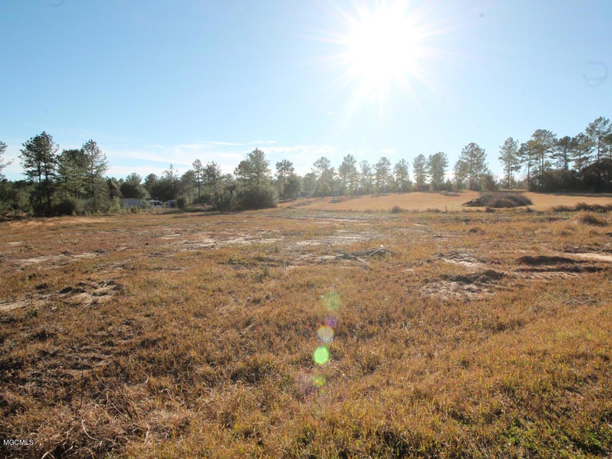 117 Hafner Ln, Lucedale, MS 39452 - photo 1