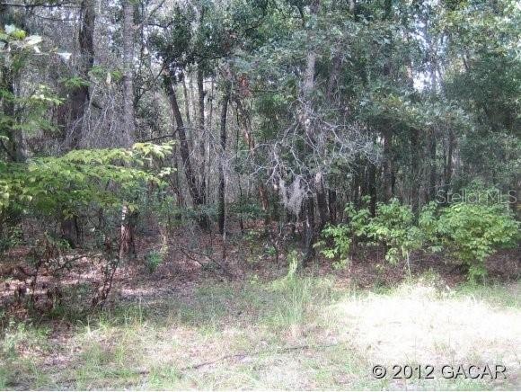 0 276th Terrace, Branford, FL 32008 - photo 1