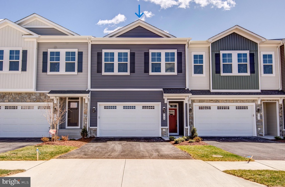 149 Leather Flower Dr, Lake Frederick, VA 22630 - photo 1