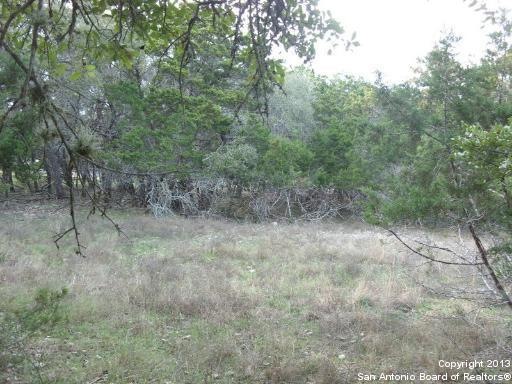 9030 Saddle Trail, San Antonio, TX 78255 - photo 1
