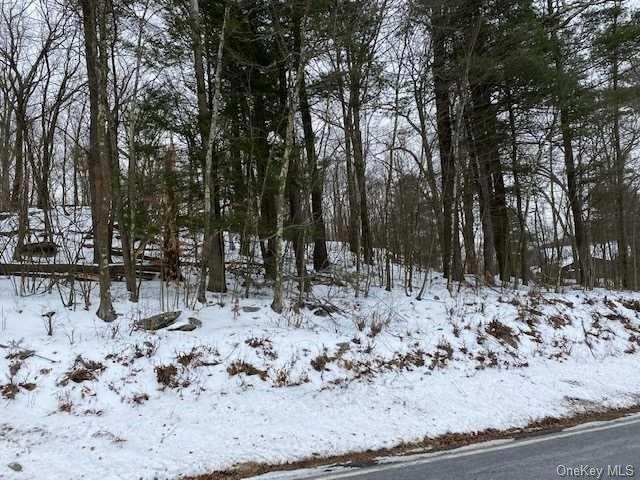 0 N Riverside Rd unit 406418, Lloyd, NY 12528 - photo 1