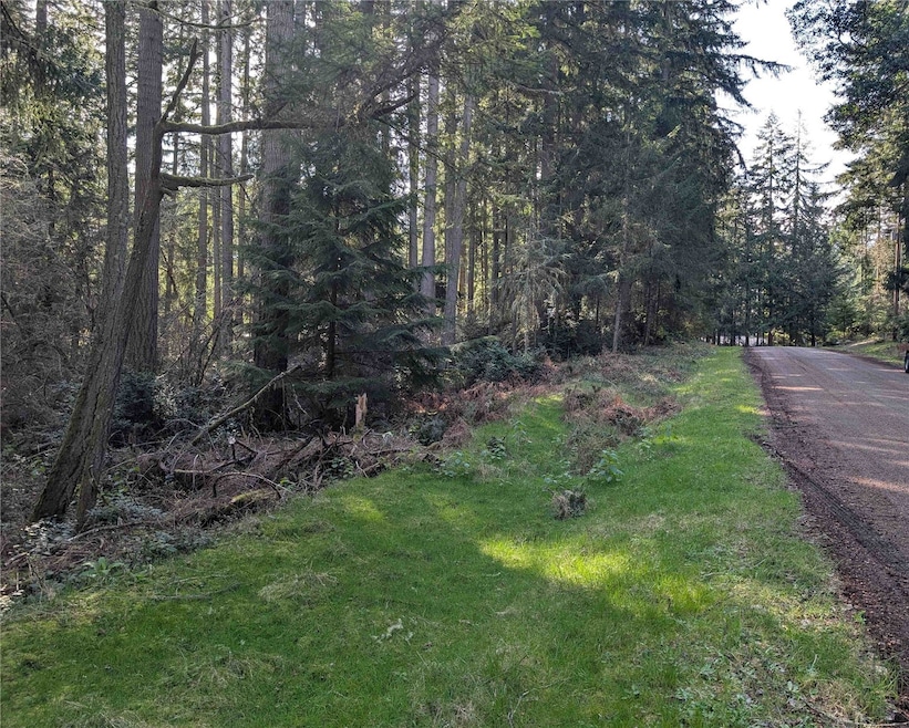 10325 Totem Way, Anderson Island, WA 98303 - photo 1