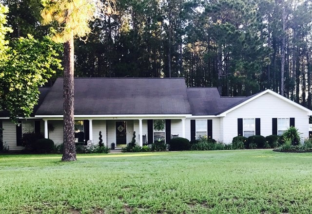 Main View