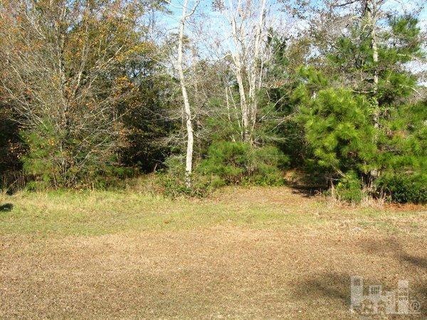 1604 Canady Rd, Wilmington, NC 28411 - photo 1