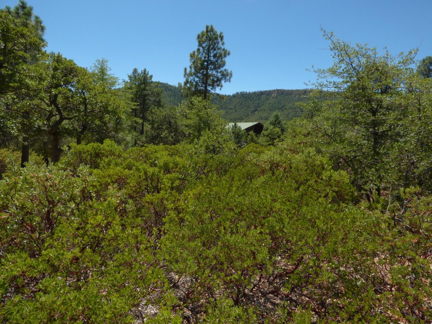 P1130574