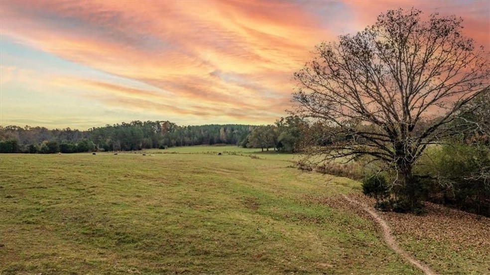 View of yard at dusk