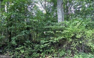 0 Rolling Ln unit 1000219839, Harpers Ferry, WV 25425 - photo 1