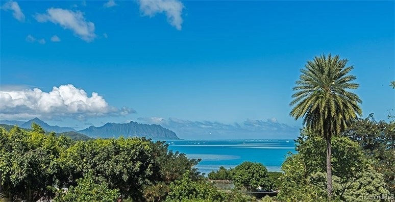 Your beautiful  zoomed in view from your new home.