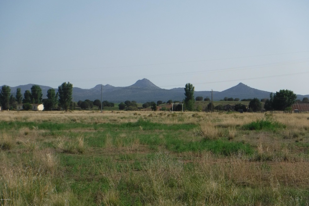 4475 W Robbie Ln, Paulden, AZ 86334 - photo 1