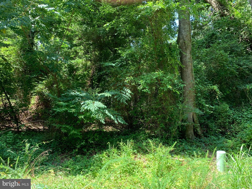 0 Stratford Cir unit VAWE2002888, Colonial Beach, VA 22443 - photo 1