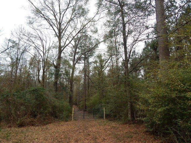 08 Magee Hill Rd, Tylertown, MS 39667 - photo 1