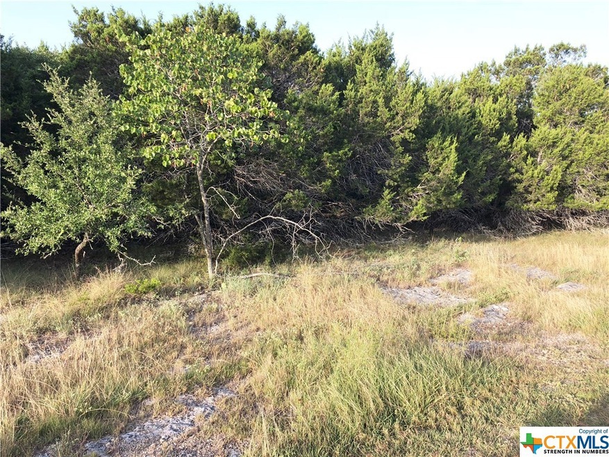 16377 & 16383 Charlya Dr, Temple, TX 76502 - photo 1