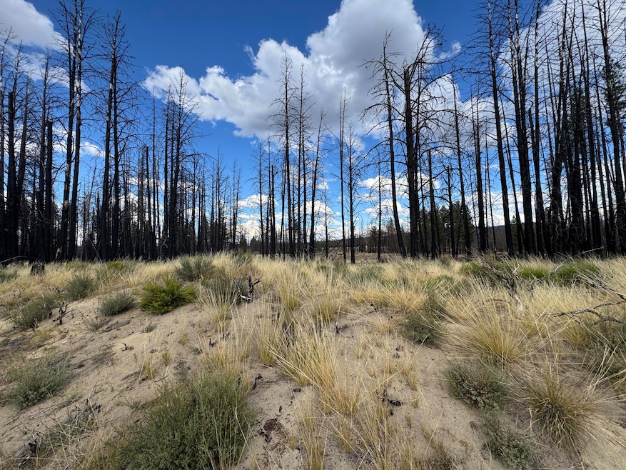 0 Shasta Fir Ln unit 9 220206679, Beatty, OR 97621 - photo 1