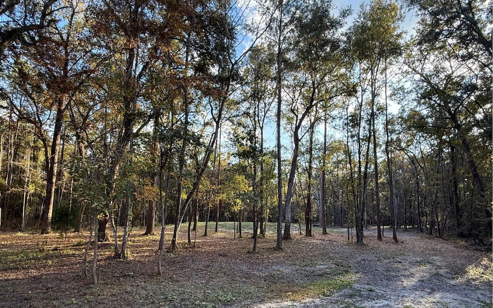TBD SW Hill Creek Dr, Lake City, FL 32025 - photo 1