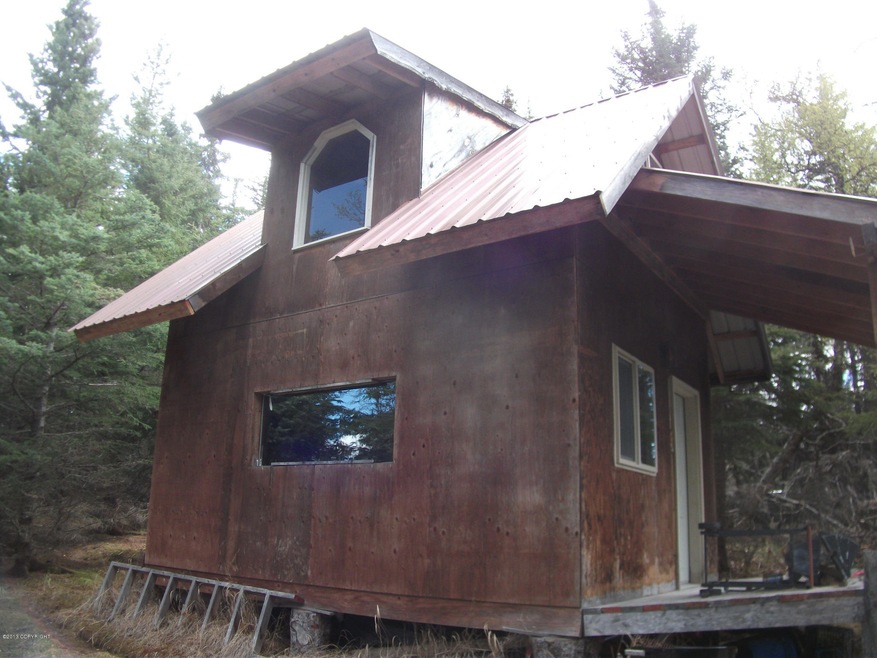 300 SQ FT Cabin