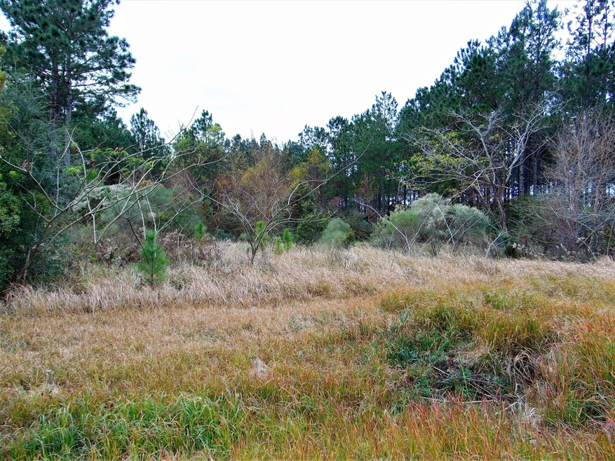 Hwy614_02