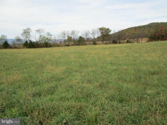 0 Log Cabin Dr unit 1002381368, Stanley, VA 22851 - photo 1