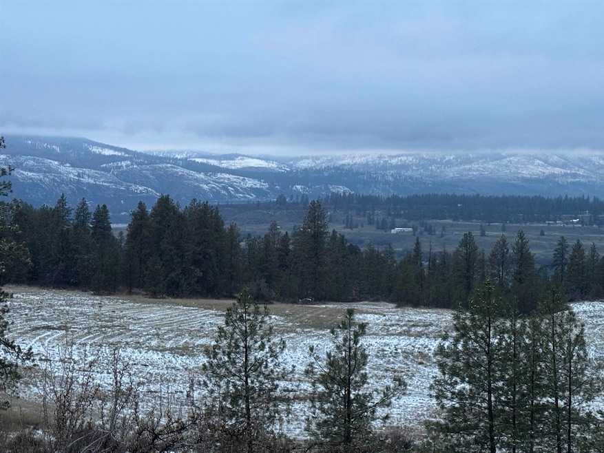 31625 Hume Rd, Davenport, WA 99122 - photo 1