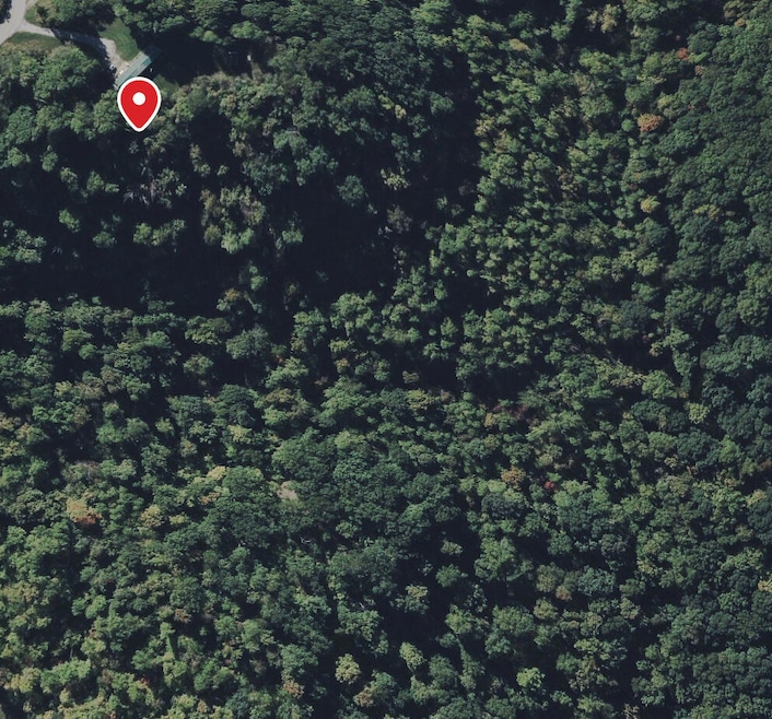 1290 Highway 3249, Stanford, KY 40484 - photo 1