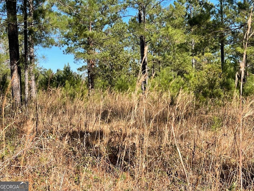 0 Landing Trail, Waynesville, GA 31566 - photo 1