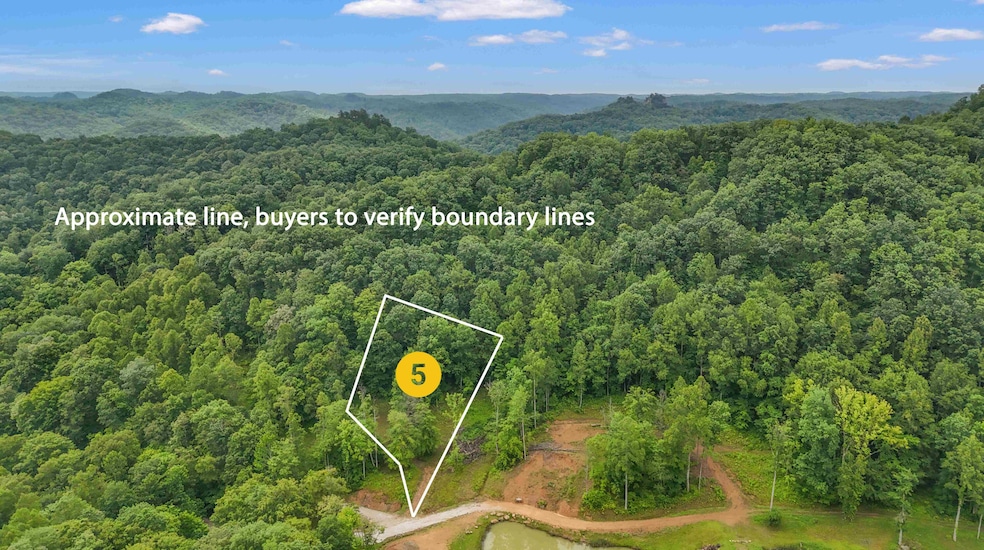 birch hollow Property Line