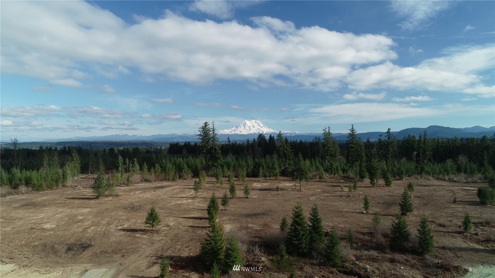 15814 Boise Ln SE, Yelm, WA 98597 - photo 1