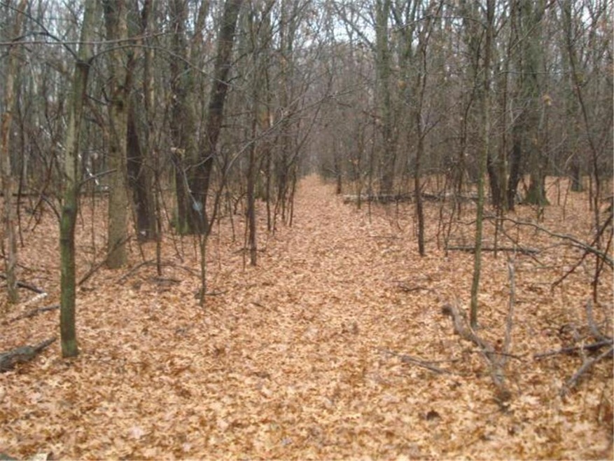 6.41 acres of HIGH AND DRY buildable land, bring y