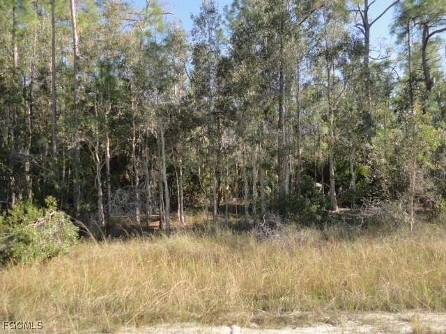 unlisted-address, Lehigh Acres, FL 33972 - photo 1