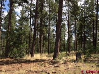 0 Calico Trail unit 696701, Durango, CO 81301 - photo 1