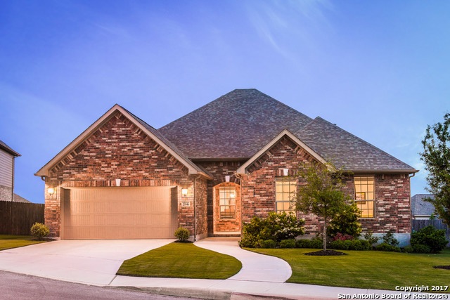 25946 Natal Plum, San Antonio, TX 78261 - photo 1