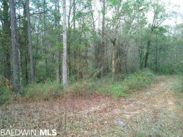 0 Mcfarland Cir, Cottage Park, AL 36695 - photo 1