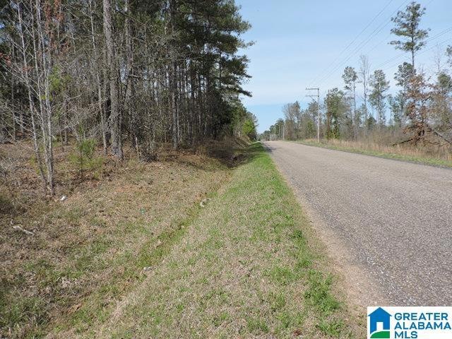 0 County Road 329 unit 21380236, Wedowee, AL 36278 - photo 1