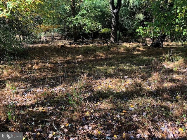 0 Pine St unit MDMC684678, White Oak, MD 20904 - photo 1