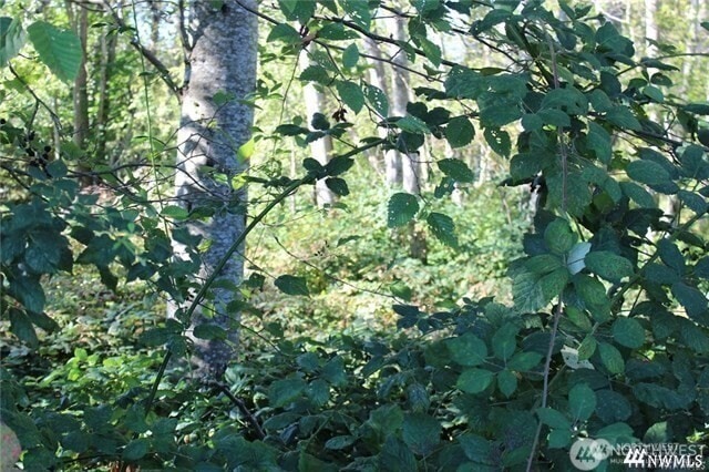 3085 W Maplewood Ave, Bellingham, WA 98225 - photo 1