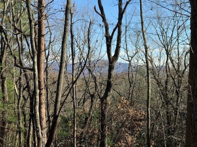 0 Hound Dog Ln unit 6107334, Dahlonega, GA 30533 - photo 1