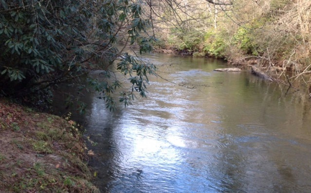 Main View