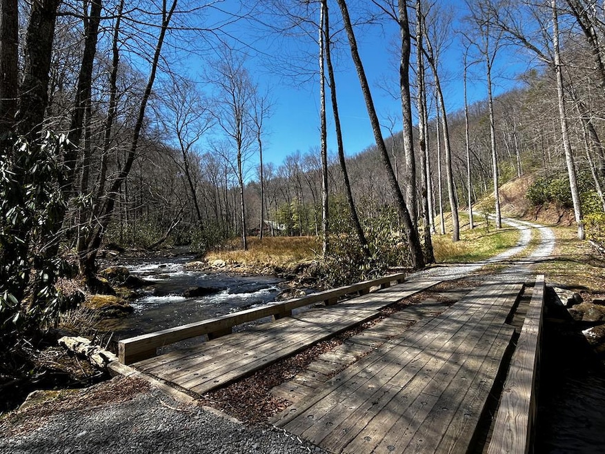 0 Little Snowbird Rd unit 152342, Robbinsville, NC 28771 - photo 1