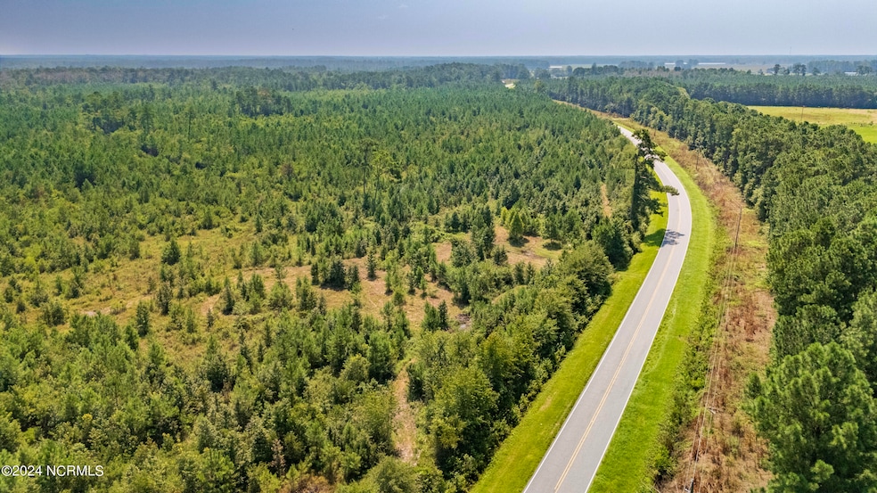 15-DJI_20240816115222_0039_D-HDR