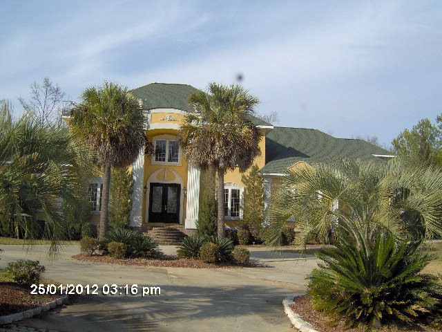 Main View