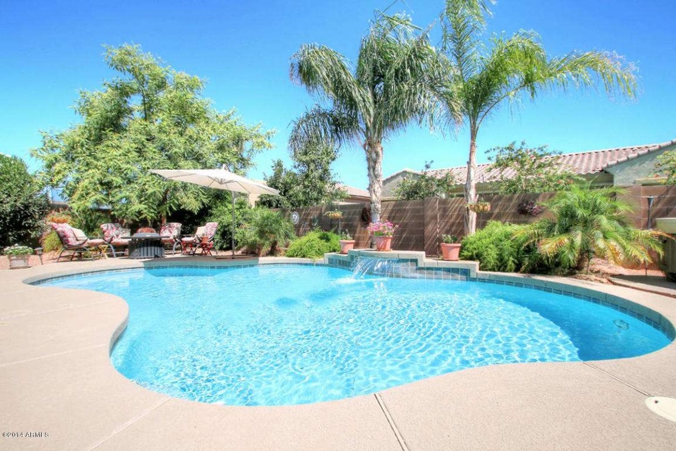 02 Backyard